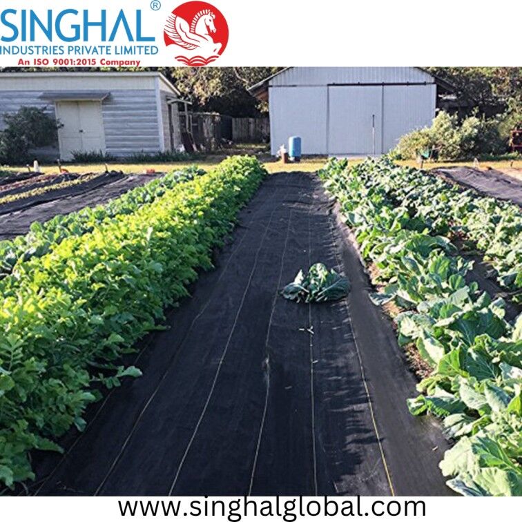 Ahmedabad, Free Items, INR 38,  UV Stabilized Breathable Ground Covers For Sustainable Agriculture
