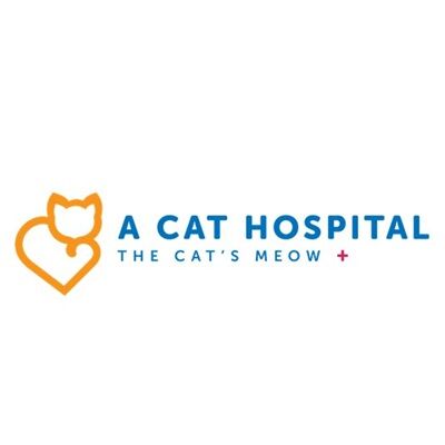 New York, Pet Sitting, A Cat Hospital