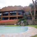 Safaris In Mombasa | Plan An Unforgettable Safari Trip