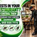 ✅✅ PESTS IN YOUR RESTAURANT? CONTROL THEM – RESTAURANT PEST CONTROL DAMMAM – ✅055 935 7772