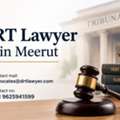 Why Consult A DRT Lawyer In Meerut For Debt Recovery Disputes?