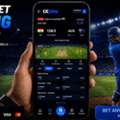 Online Cricket Betting: Explore The Live Game Experience