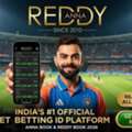 ReddyReal.online &ndash; Discover Sports Betting Entertainment Online