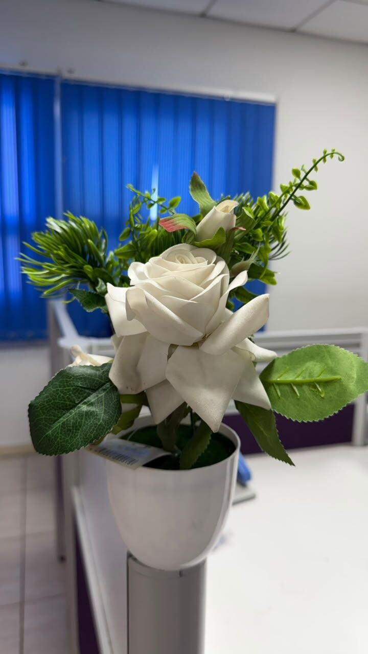 Riyadh, Farm & Garden, SAR 20,  Artificial Plants For Decoration