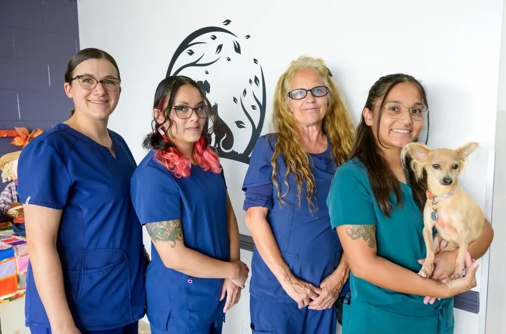 New York, Health, Katella Animal Clinic