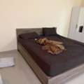 SAR 1000,  Bed Without Matress And Wardrobe