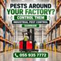 ✅✅ PESTS AROUND YOUR FACTORY? CONTROL THEM – INDUSTRY PEST CONTROL DAMMAM – ✅055 935 7772✅