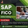 SAP FICO Online Training Course