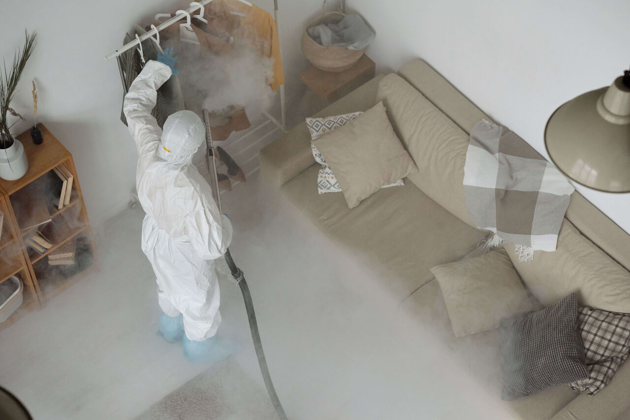 Chennai, Pest Control, JCS Pest Control