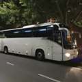 Volvo Bus Rental For Weddings | Comfortable Group Travel