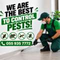 ✅✅ PESTS IN YOUR HOME? GET THEM CONTROLLED – HOME PEST CONTROL DAMMAM – ✅ 055 935 7772 ✅✅