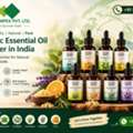 Organic Essential Oil Exporter In India &ndash; Glee Impex