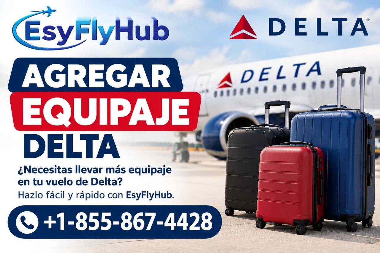 New York, Travel, ¿Cómo Agregar Equipaje En Delta Airlines?