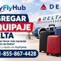 ¿Cómo Agregar Equipaje En Delta Airlines?