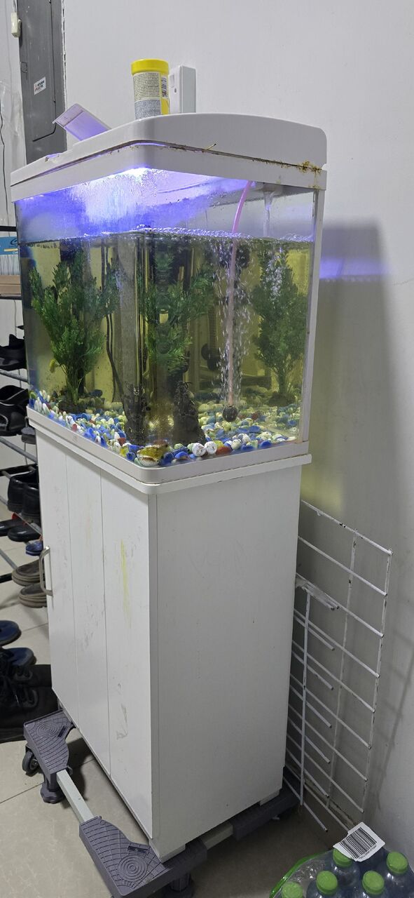 Al Wizarat, Furniture, SAR 400,  Fish Aquarium With Cabinet Stand + Wheeled Trolley - Complete Setup