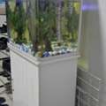 SAR 400, Fish Aquarium With Cabinet Stand + Wheeled Trolley - Complete Setup