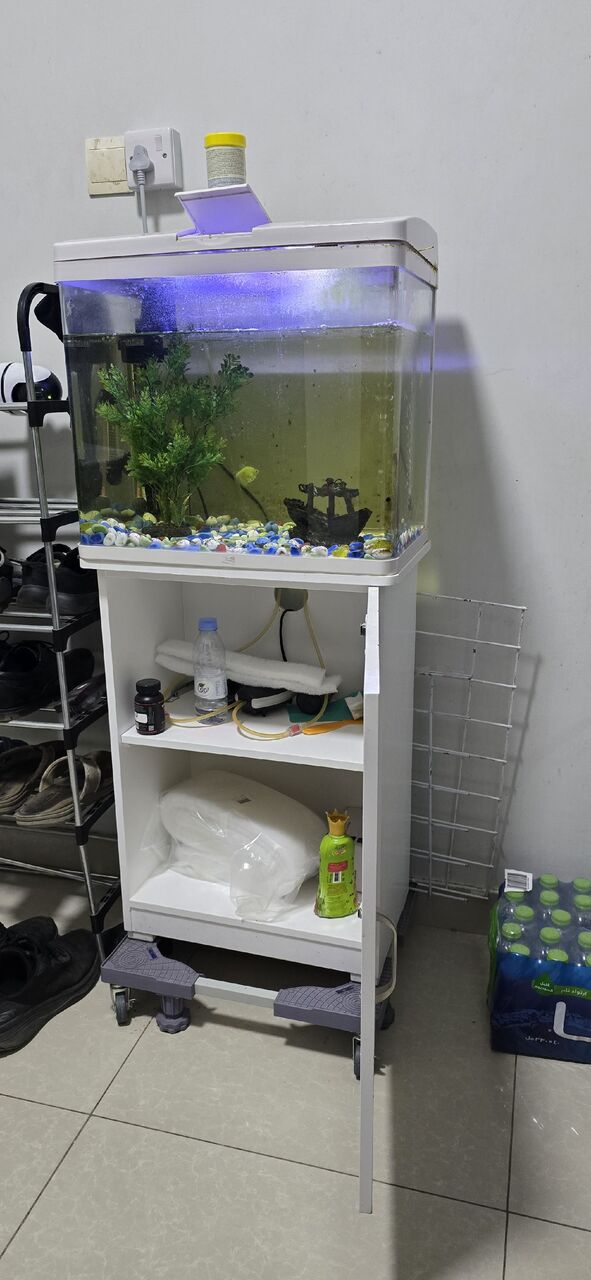 Al Wizarat, Furniture, SAR 400,  Fish Aquarium With Cabinet Stand + Wheeled Trolley - Complete Setup