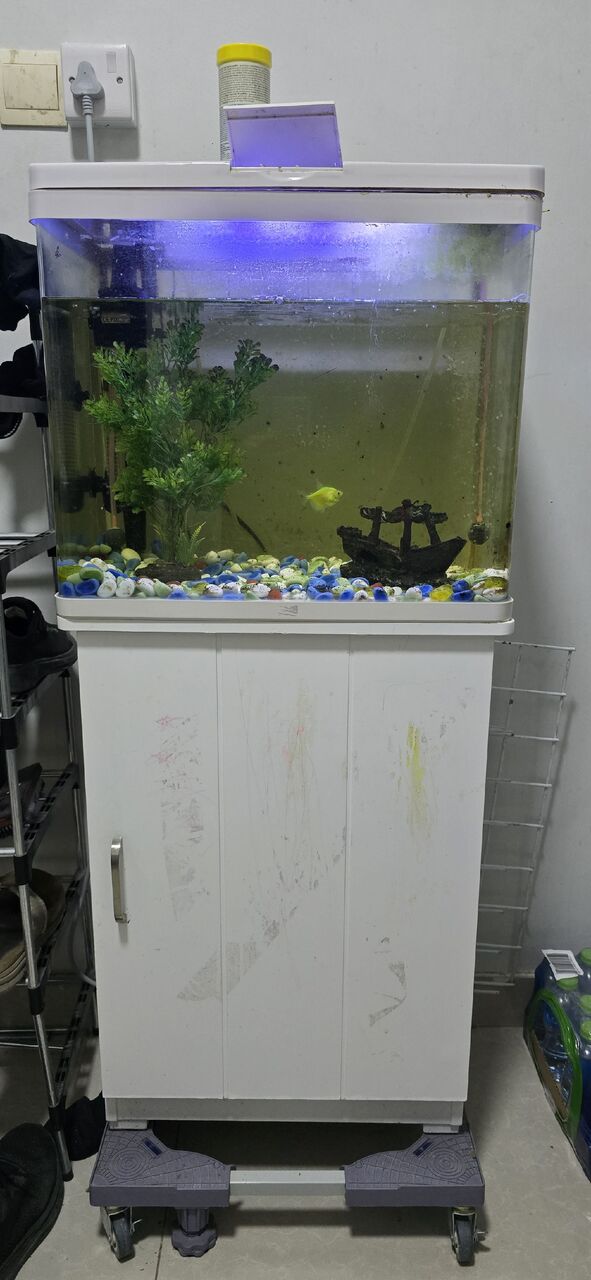 Al Wizarat, Furniture, SAR 400,  Fish Aquarium With Cabinet Stand + Wheeled Trolley - Complete Setup