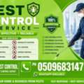 MS PEST CONTROL✅ COCKROACH🪳SPRAYS (⁠✧WITH⁠✧⁠) BED BUGS💚 SOLUTION'S=(0509683147) 💹 18