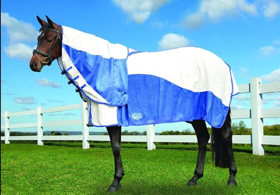 Sydney, Pet Sitting, Buy Winter Horse Rugs For Reliable Cold Weather Protection