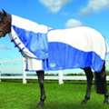 Buy Winter Horse Rugs For Reliable Cold Weather Protection