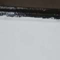 SAR 400,  Fridge For Sale