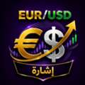 إشارات احترافية يومية لزوج اليورو/الدولا