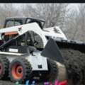 Bobcat Available