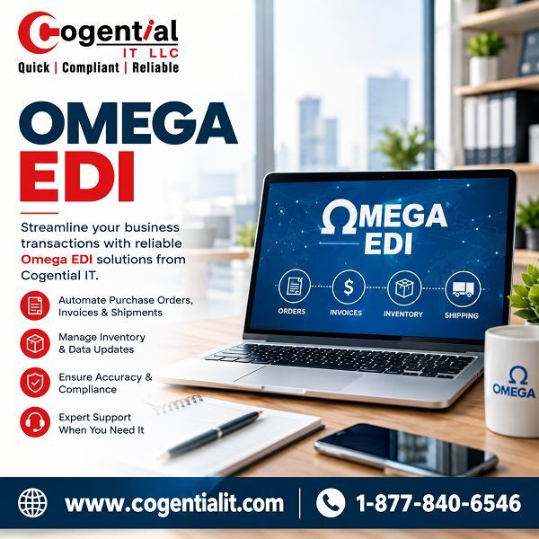 Chicago, Business, Omega EDI Solutions For Smooth Business Integration