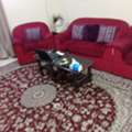 Furnished,  Flat For Rent With Household Itens