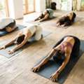 Looking For A Yoga Retreat In Phuket? Discover Elite Atoll