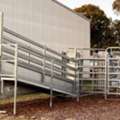 RPM's Adjustable Loading Ramp Leads Our Cattle Yard Loading Ramps