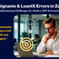 SAP Signavio & LeanIX Errors In Zambia: Causes & Solutions
