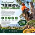 Reliable Tree Removal Services In Adelaide For Safe, Tidy Results