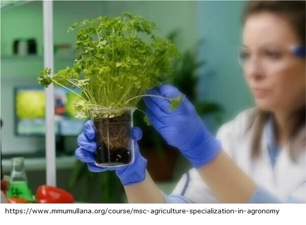Mumbai, Education, M Sc Agriculture Agronomy Fees
