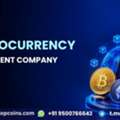 Build Your Own Digital Currency With Cryptocurrency Development