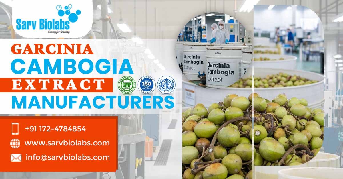 Mumbai, Health & Beauty Items, Best Garcinia Cambogia Extract Manufacturers In India