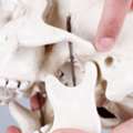 TMD Treatment &ndash; Get Professional Care For Jaw Joint Problems