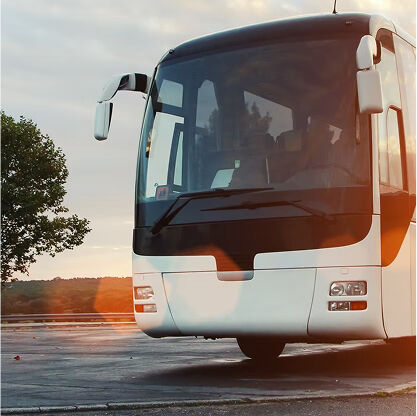 Auckland, Travel, Safe Wedding Bus Transportation NZ | Kea Coachlines