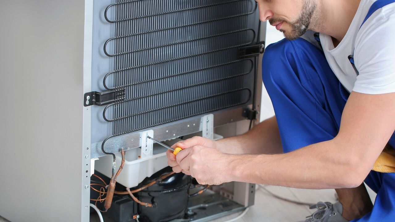 New York, Appliance Repair, Bosch Appliance Repair Windermere, FL