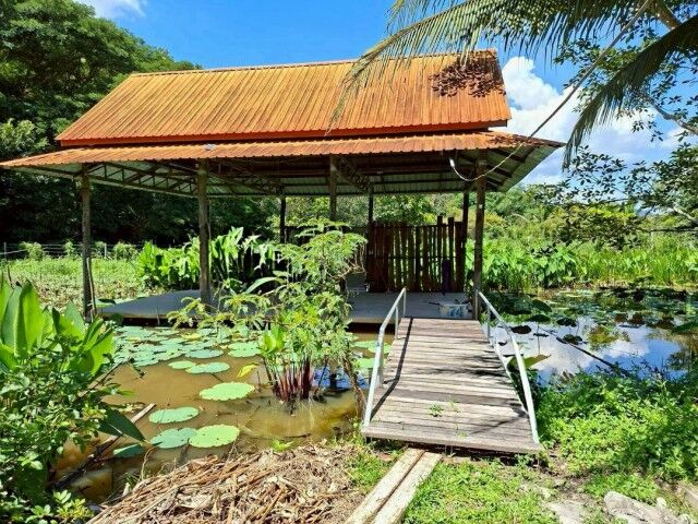 Bangkok, Real Estate For Sale, THB 2200000,  6 BR,  341 Sq. Feet,  ราคาสุดคุ้มเพียง 2.2 ล้าน เท่านั้น! #โซ