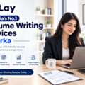 India's No.1 Resume Writing Services Dwarka | CvLay