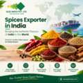 Top Spices Exporter In India For Global Buyers