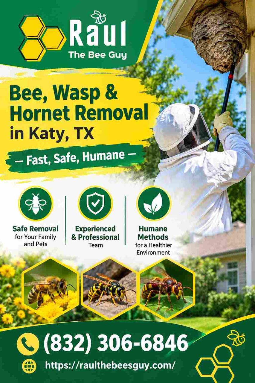 New York, Pest Control, Bee, Wasp & Hornet Removal In Katy, TX &mdash; Fast, Safe, Humane