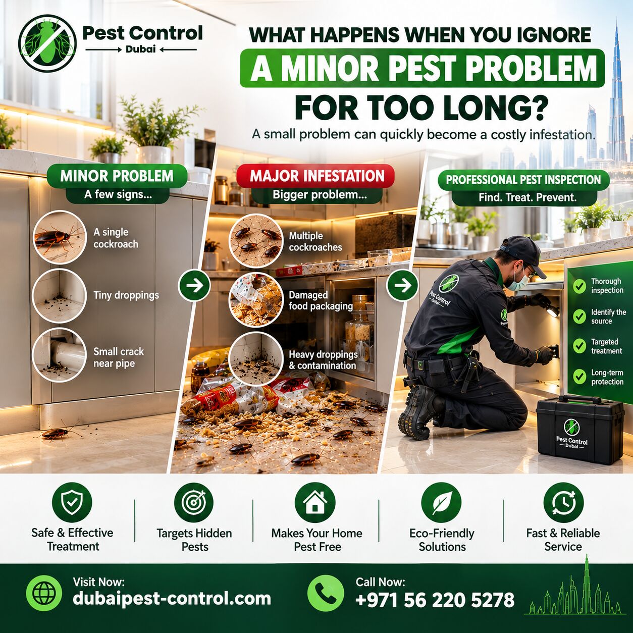 Dubai, Pest Control, What Happens When You Ignore A Minor Pest Problem For Too Long?