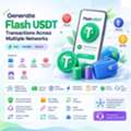 Usd 500,  Generate Temporary USDT Transactions Across Multiple Networks