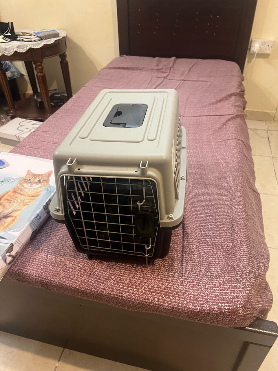 Jeddah, Pet Supplies, SAR 1,  Cat Cage And Toilet For Training