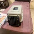 SAR 1, Cat Cage And Toilet For Training