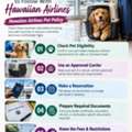Special Pet Travel Offers With American Airlines 5% Off