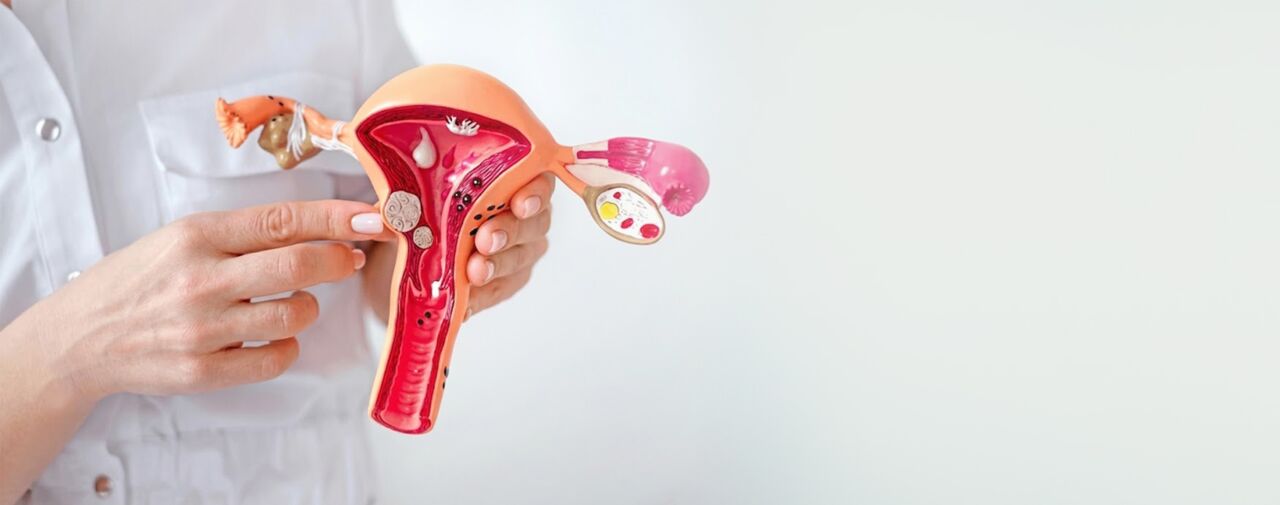 New Delhi, Health, Uterine Cancer Doctors In Delhi